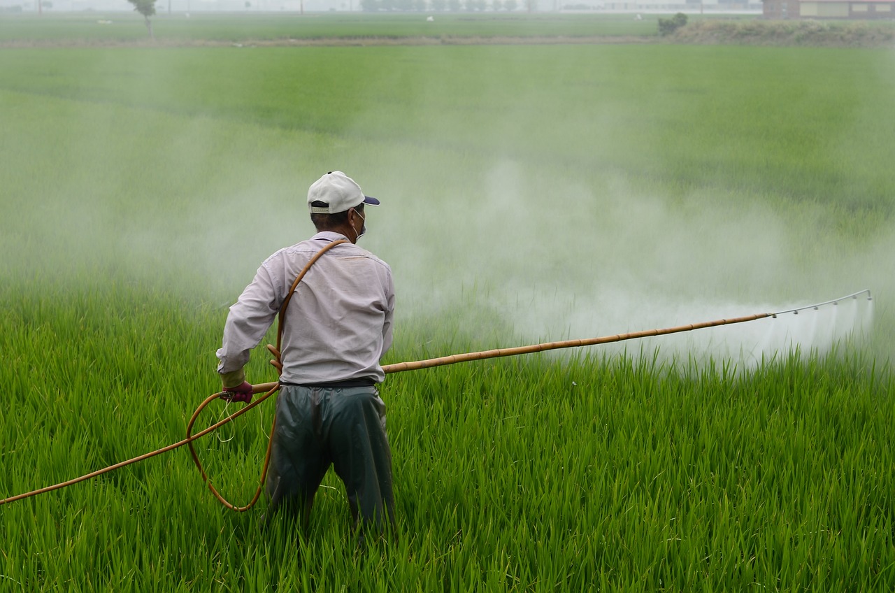 Using Harmful Pesticides (image credits: pixabay)