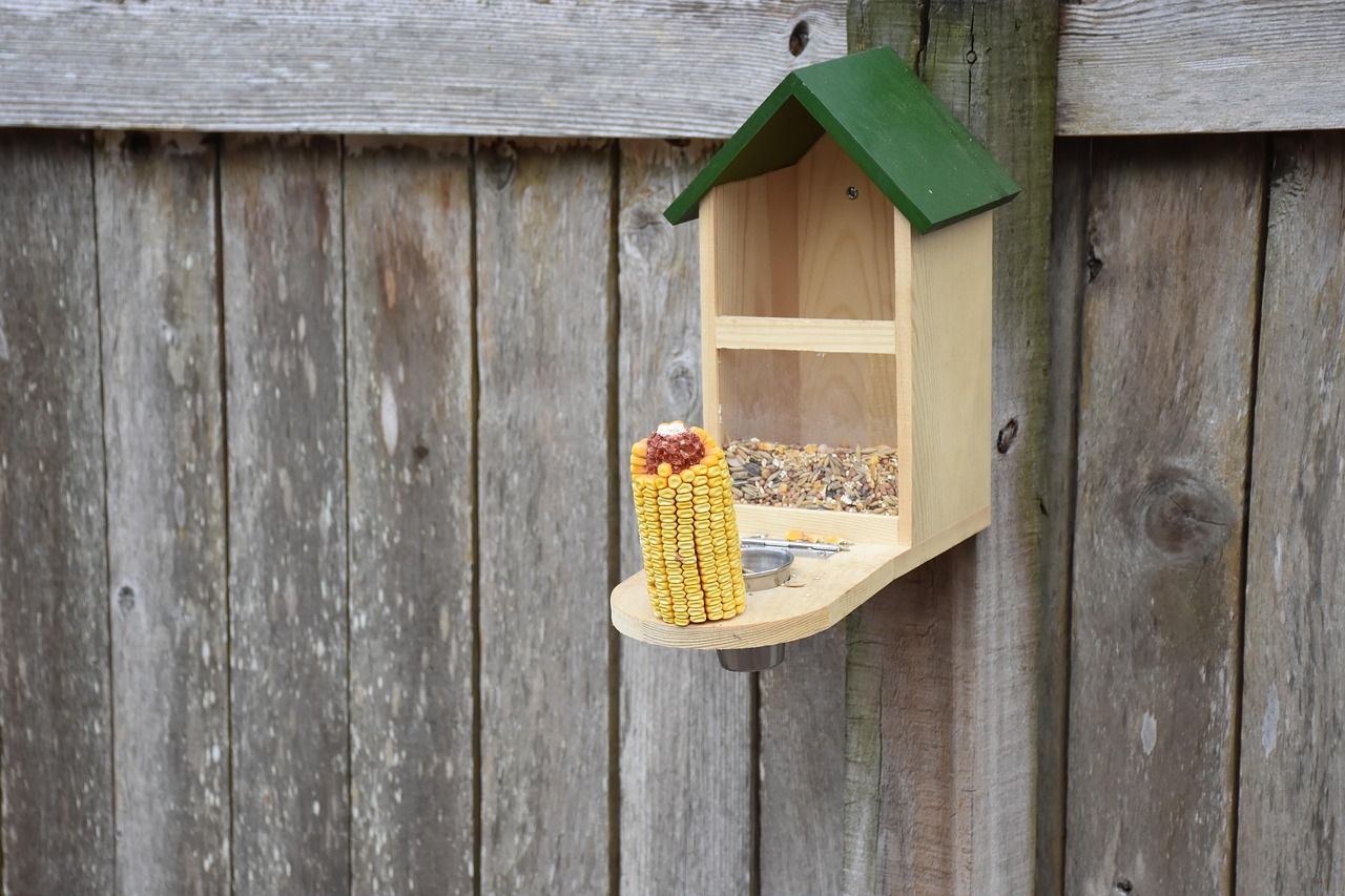 9. Feeder Design Flaws: Uncomfortable or Inaccessible Feeders (image credits: pixabay)