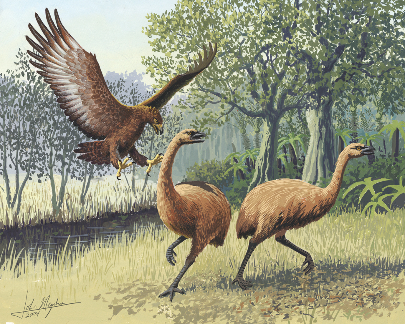 Haast’s Eagle: Predator of Giants (image credits: wikimedia)