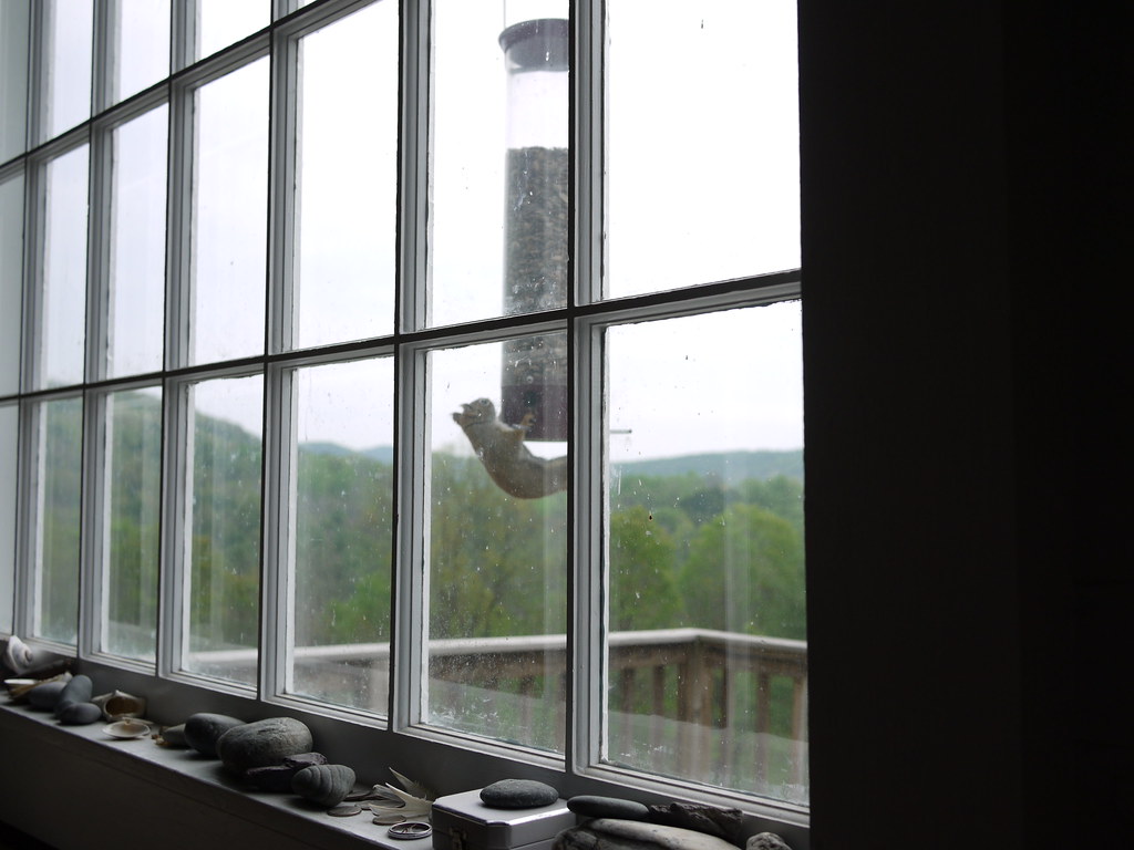 Window Wonder Feeder (image credits: flickr)