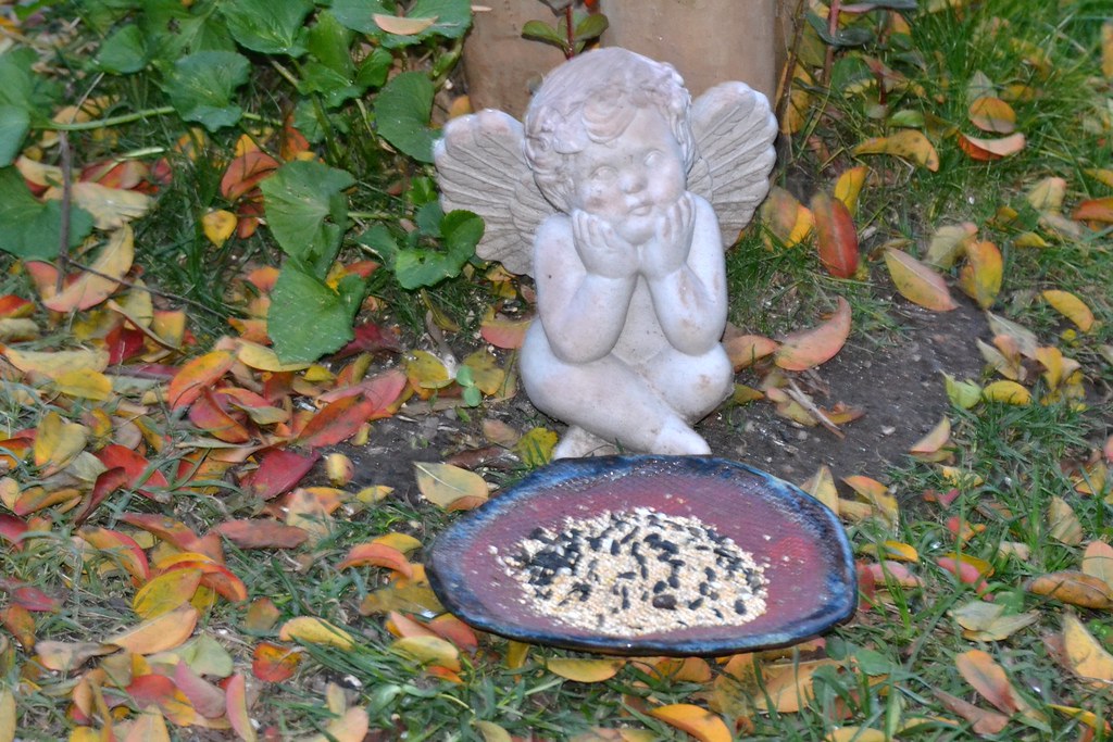 Ground Tray Gathering Spot (image credits: flickr)
