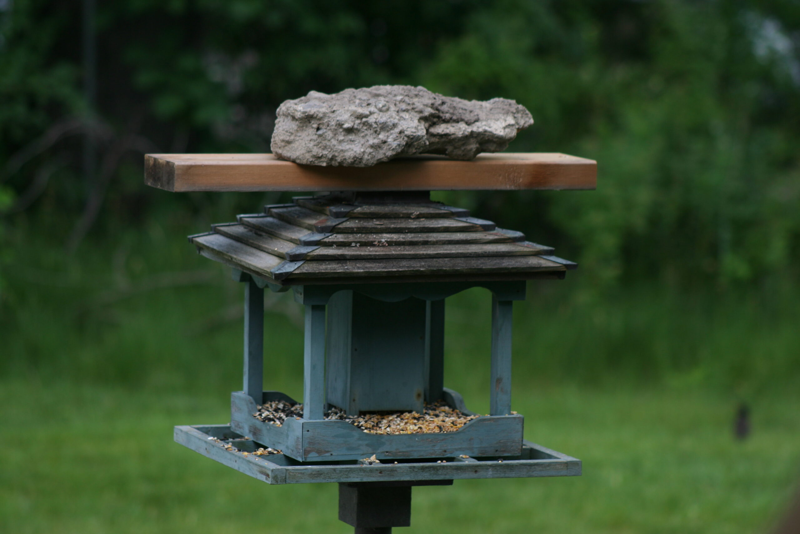 Covered Chalet Feeder (image credits: wikimedia)