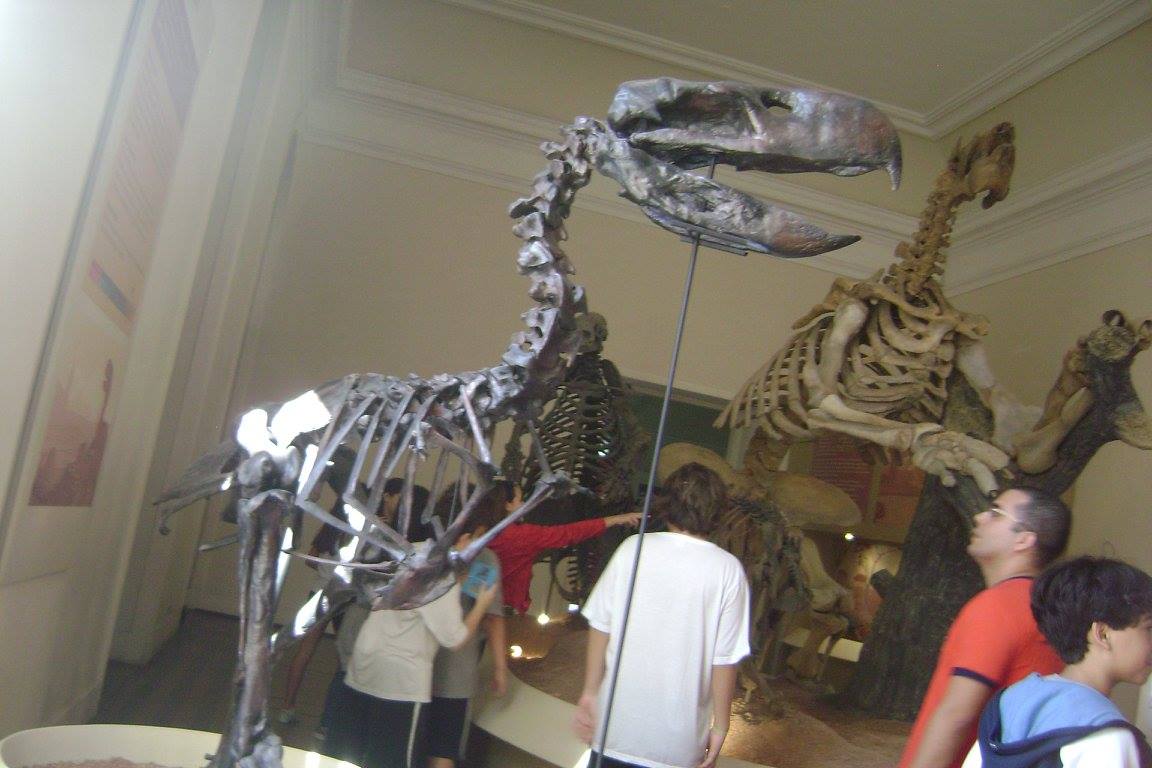 Legs Made for Speed (image credits: wikimedia)