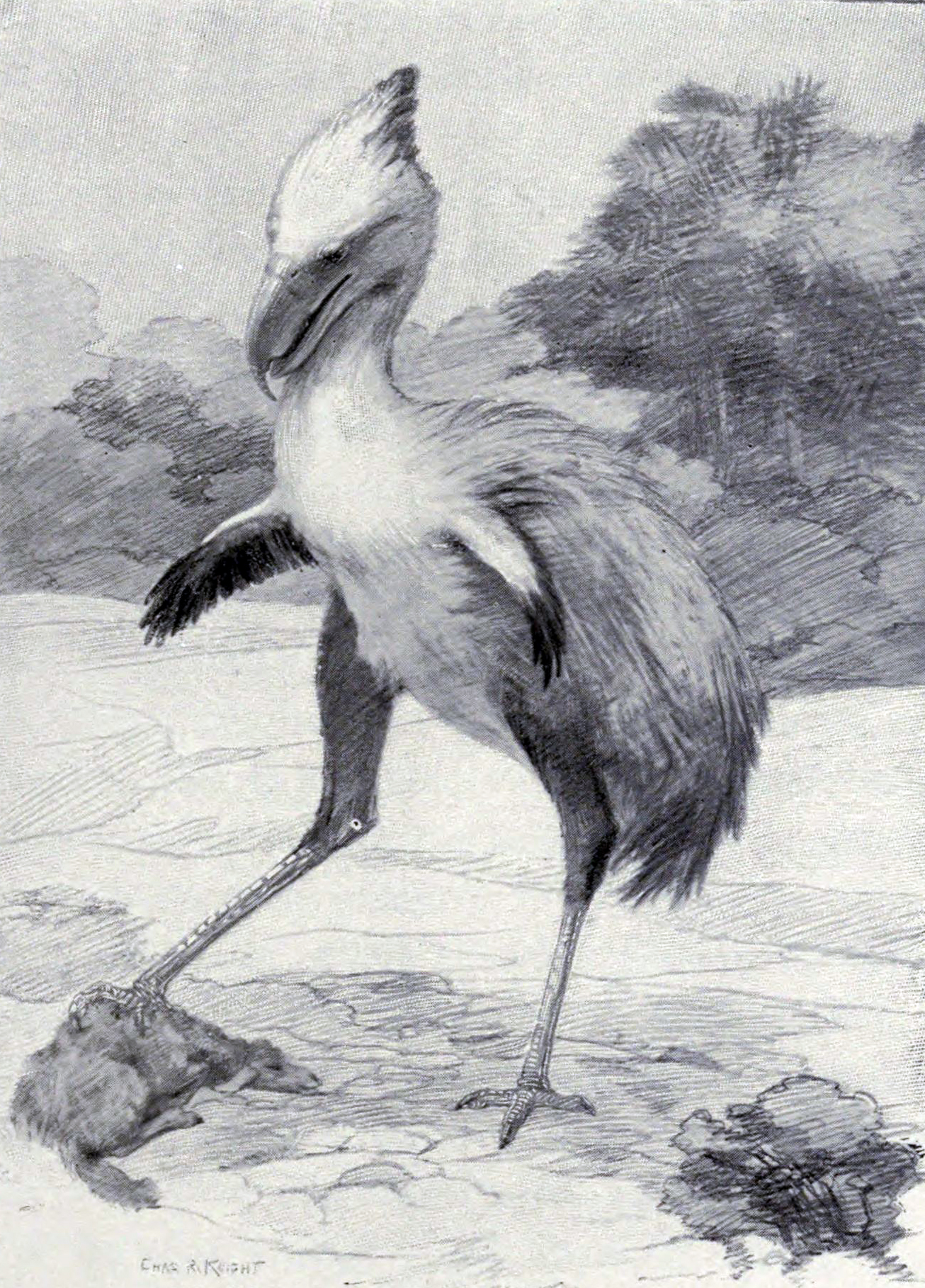 Giant Shadows in the Pampas (image credits: wikimedia)