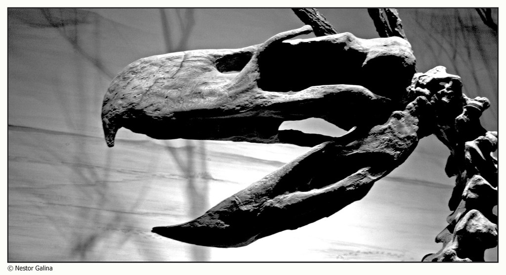 A Legacy That Still Inspires (image credits: flickr)
