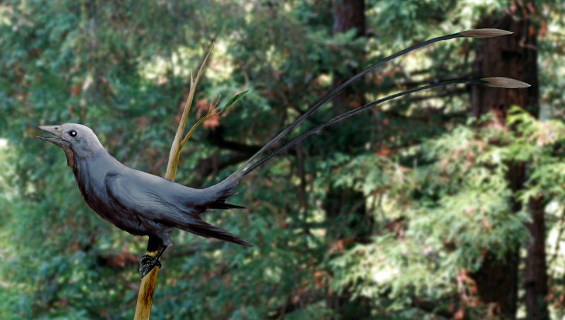 The Striking Patterns of Eoconfuciusornis (image credits: wikimedia)