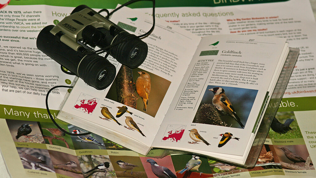 Binoculars rest on an open bird watching guide with illustrations of various bird species.