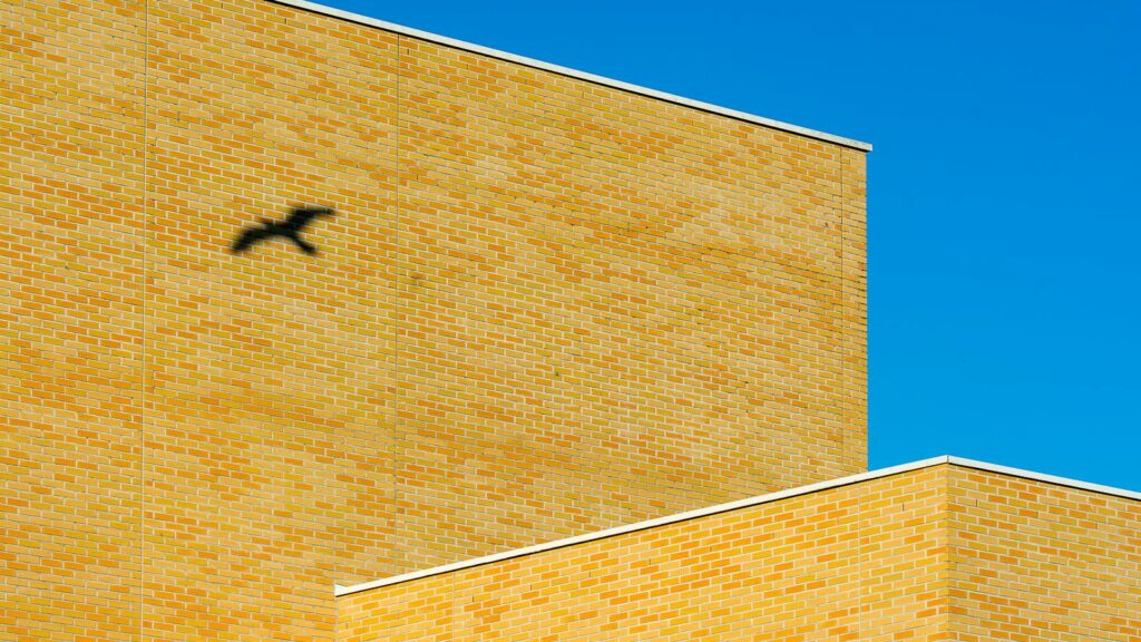 A bird's shadow casts on a the side of a brick building