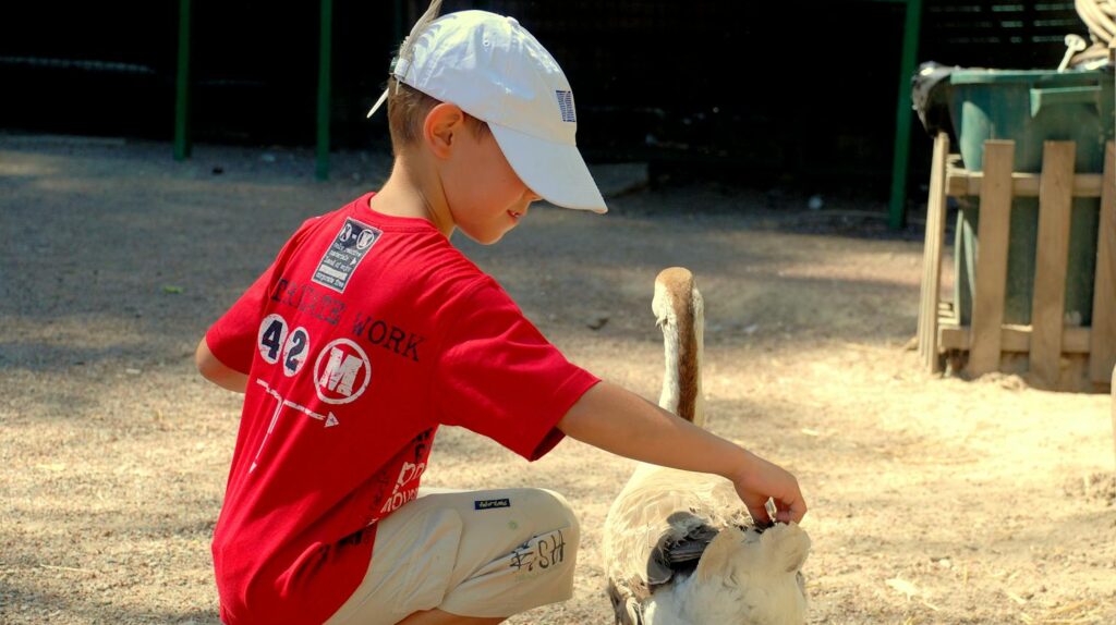 A young boy gently touching a large goose