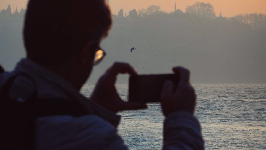 Person taking photo near water with bird flying nearby