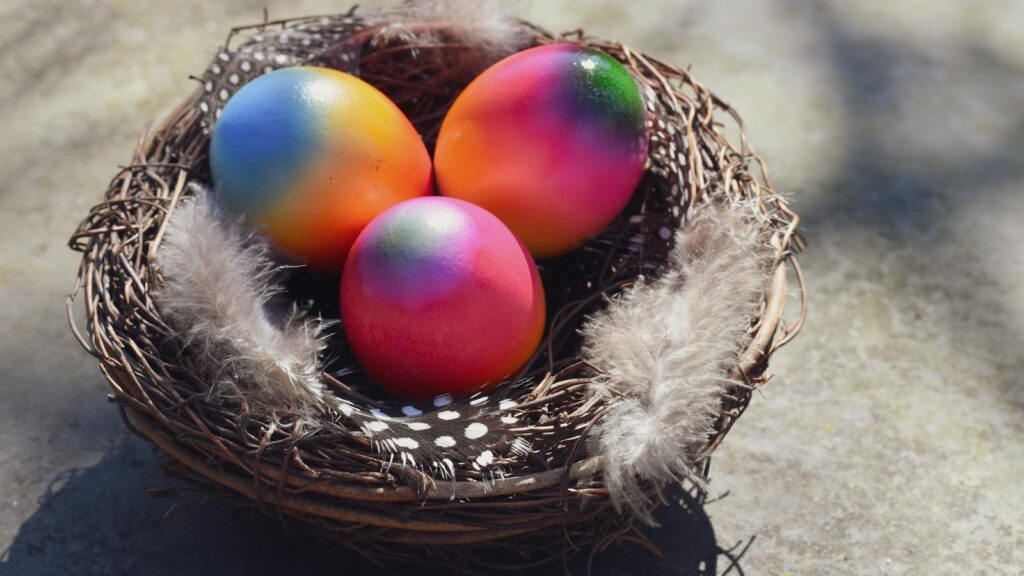 Bird nest with vibrant, multicolored eggs