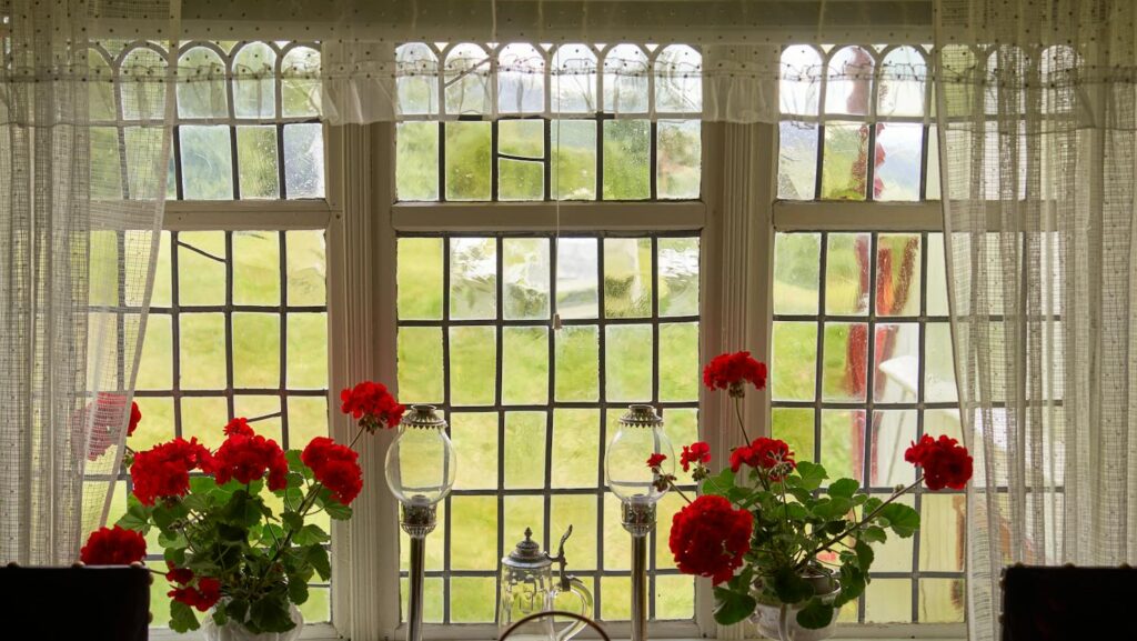 House windows with sheer white curtains and square grid design