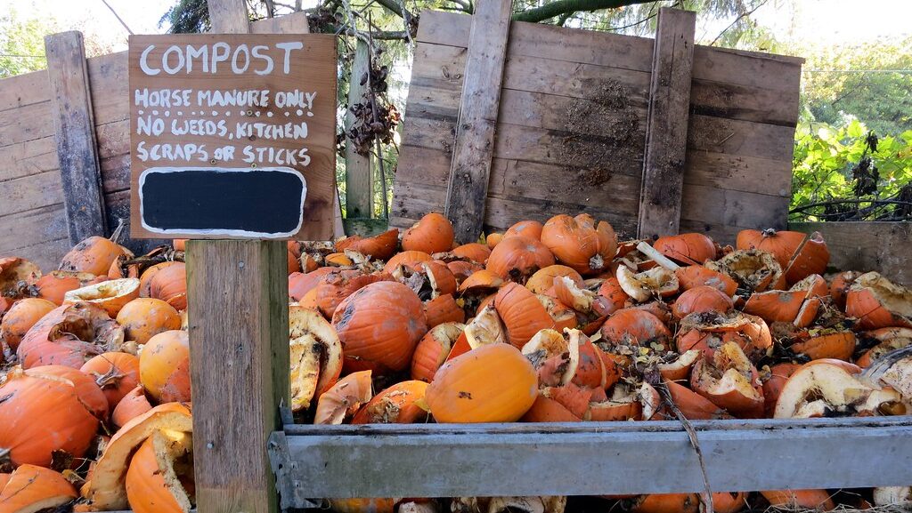 Compost bin filled with decomposing pumpkin scraps