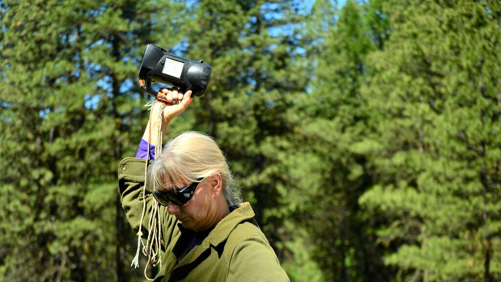 Biologist holding electronic bird caller device in dense forest