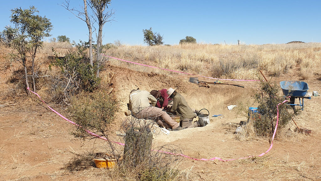 Field team uncovering prehistoric fossils at Alcoota fossil site near Engawala, NT