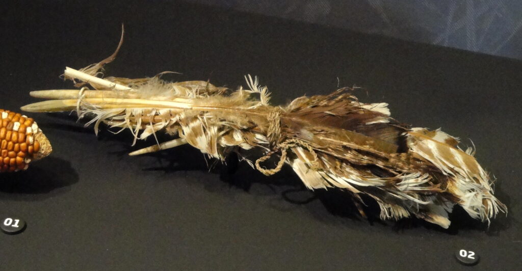 A close-up shows a bundle of brown and white feathers and sticks tied with twine.
