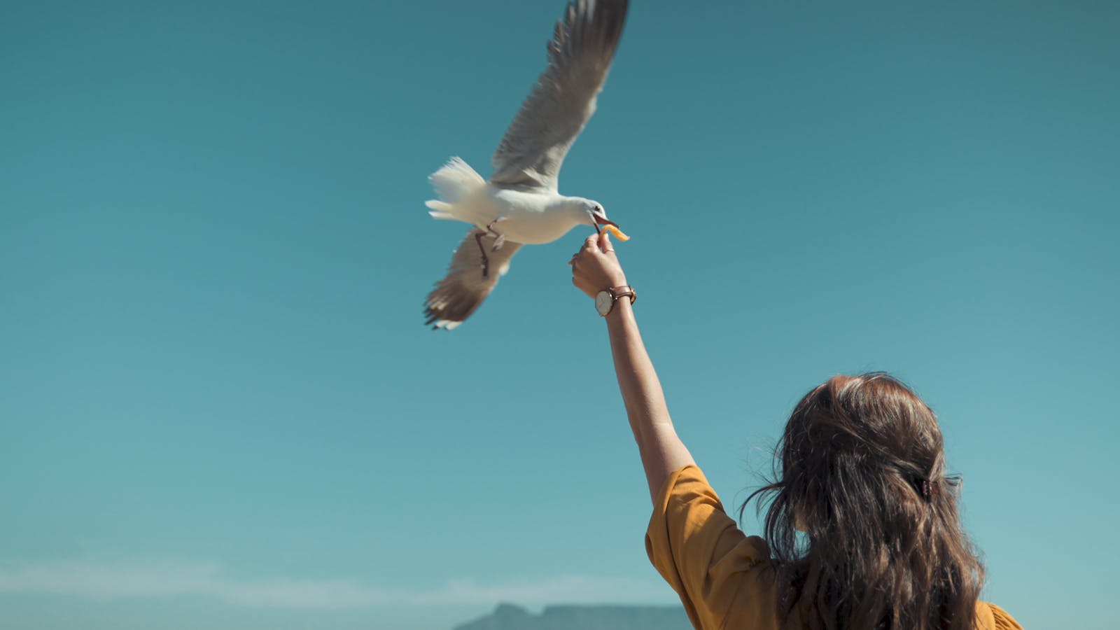 A woman reaches up to feed a flying seagulls