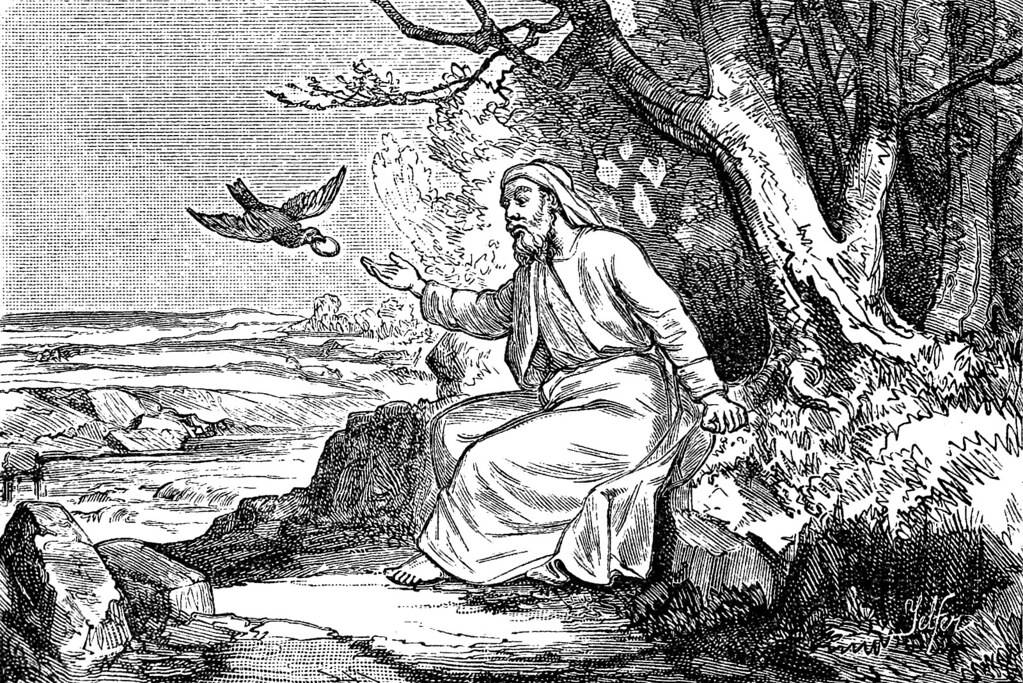 A black and white illustration shows a man under a tree reaching out to a bird.