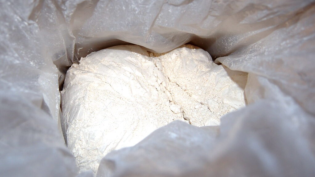 Plastic bag filled with fine diatomaceous earth