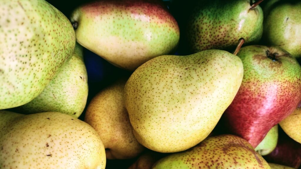 Assorted pears piled up