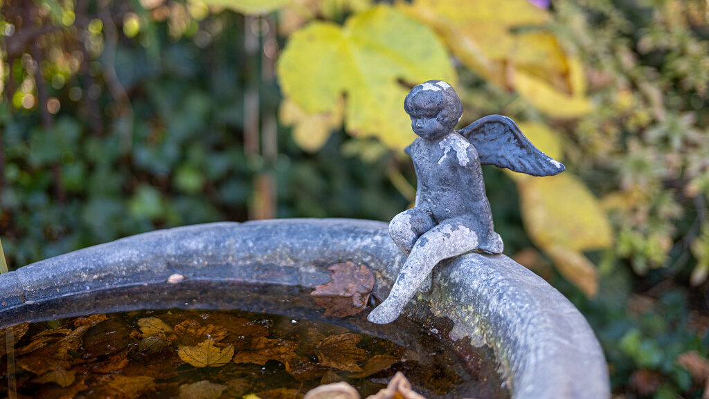 Bird bath in autumn with brown and yellow leaves