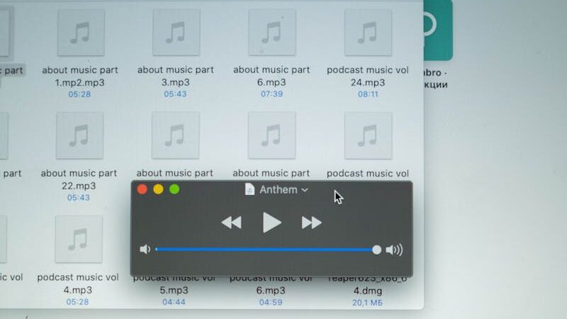 View of audio files in computer screen