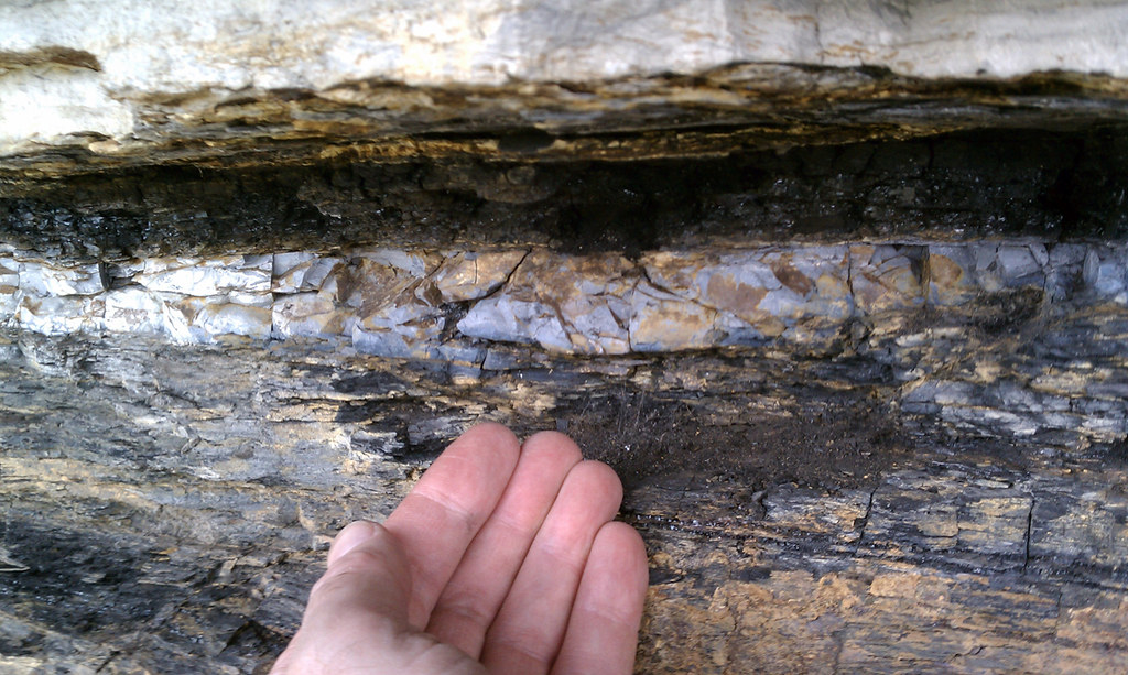 A hand points to the distinct K-Pg boundary layer in a rock outcrop, marking a significant event for prehistoric birds.