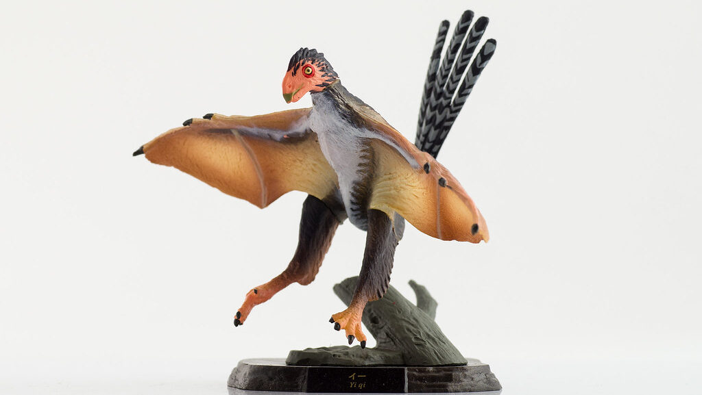 A vibrant model of Yi qi stands with wings outstretched, showcasing its unique bat-like membranes.