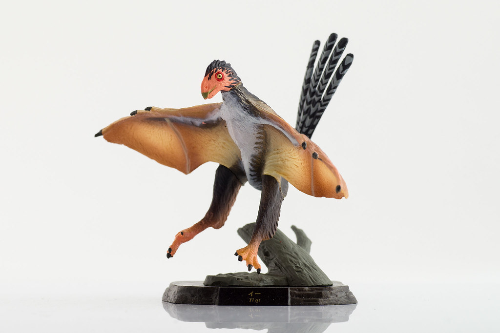 A vibrant model of Yi qi stands with wings outstretched, showcasing its unique bat-like membranes.