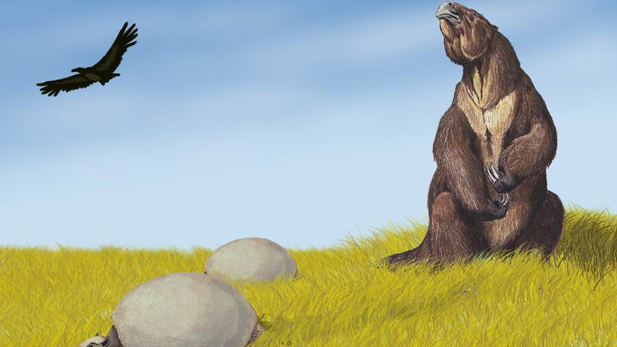 Illustration of Pleistocene of South America