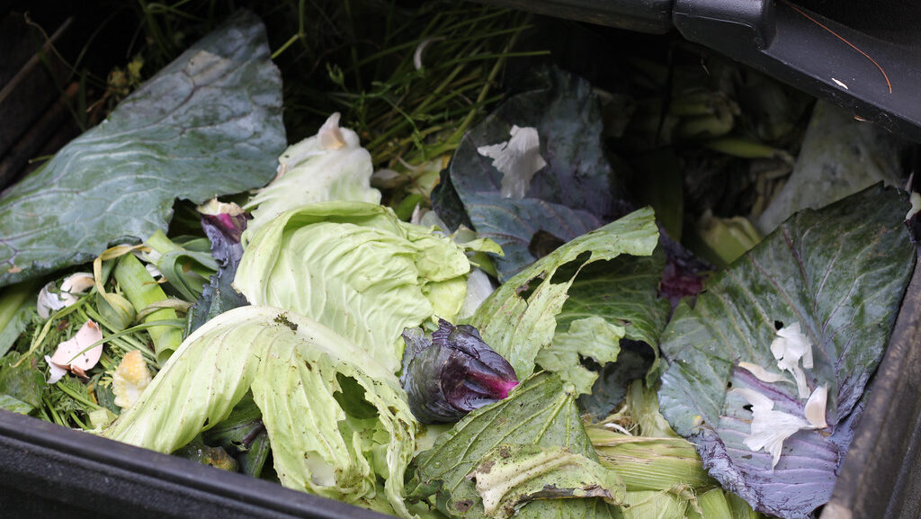 Assorted vegetable scraps decomposing inside a backyard compost bin