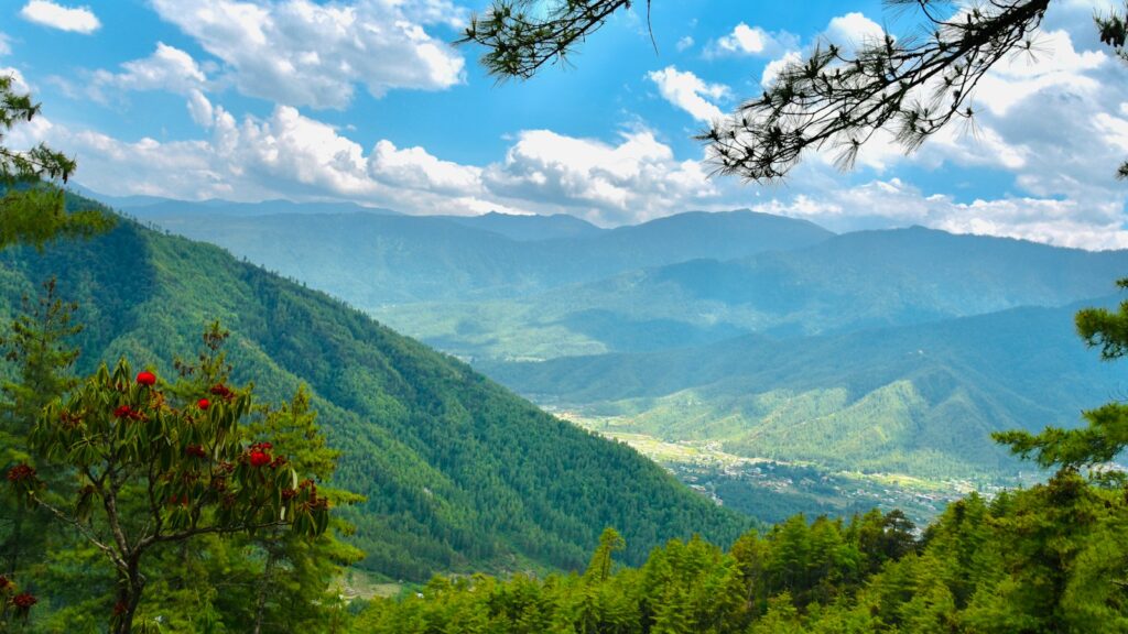 Scenic view of forest-covered mountains in Bhutan