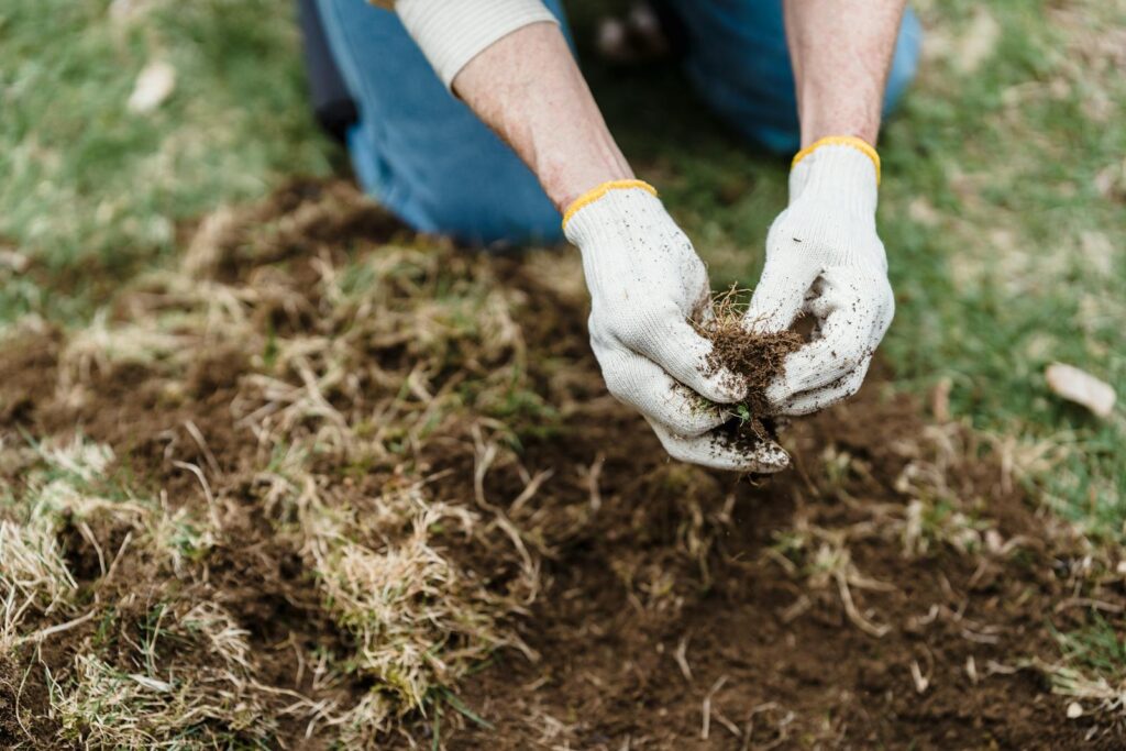 Person pulling grass weeds out of soil in a garden