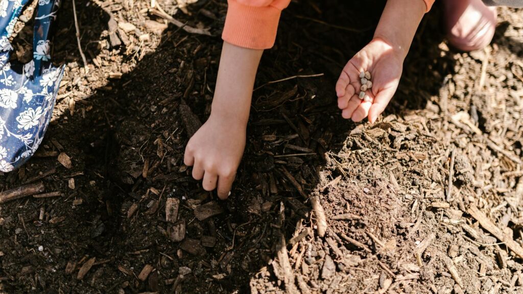Child planting a seed in soil