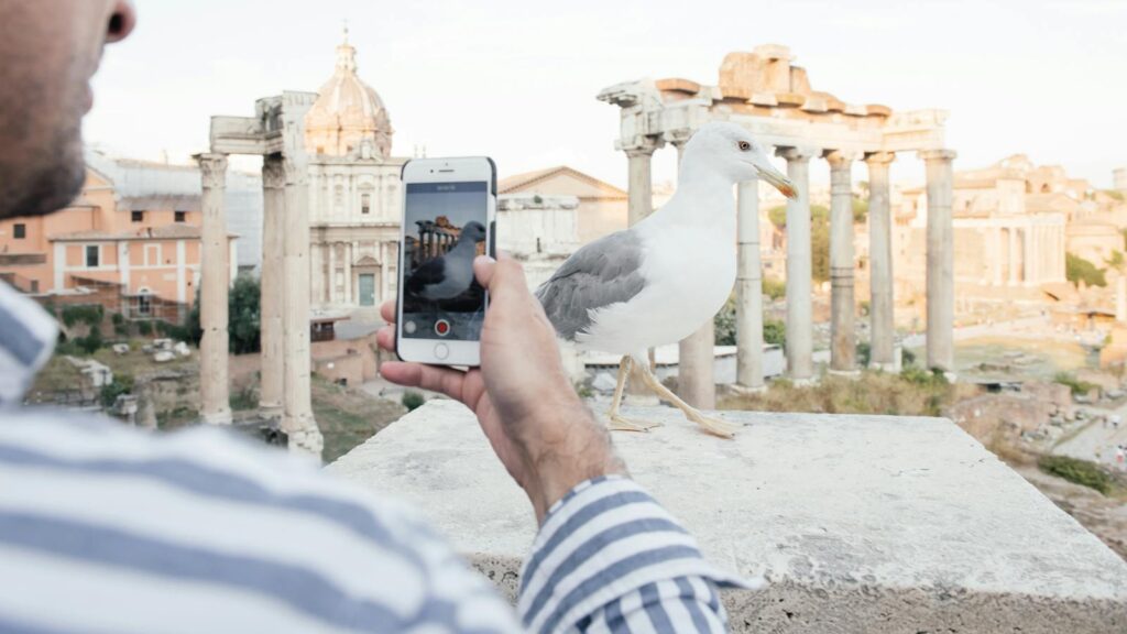 Tourist using smartphone to capture photo of seagull near Roman Forum ruins