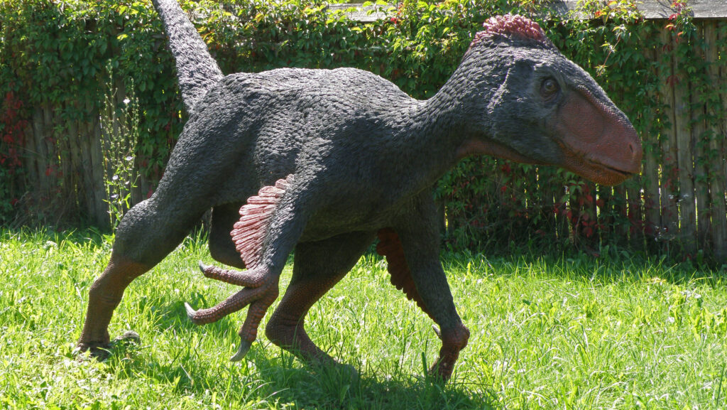 Utahraptor dinosaur display at JuraPark Bałtów