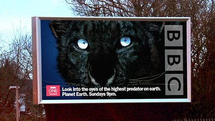 BBC Planet Earth billboard promoting the nature documentary