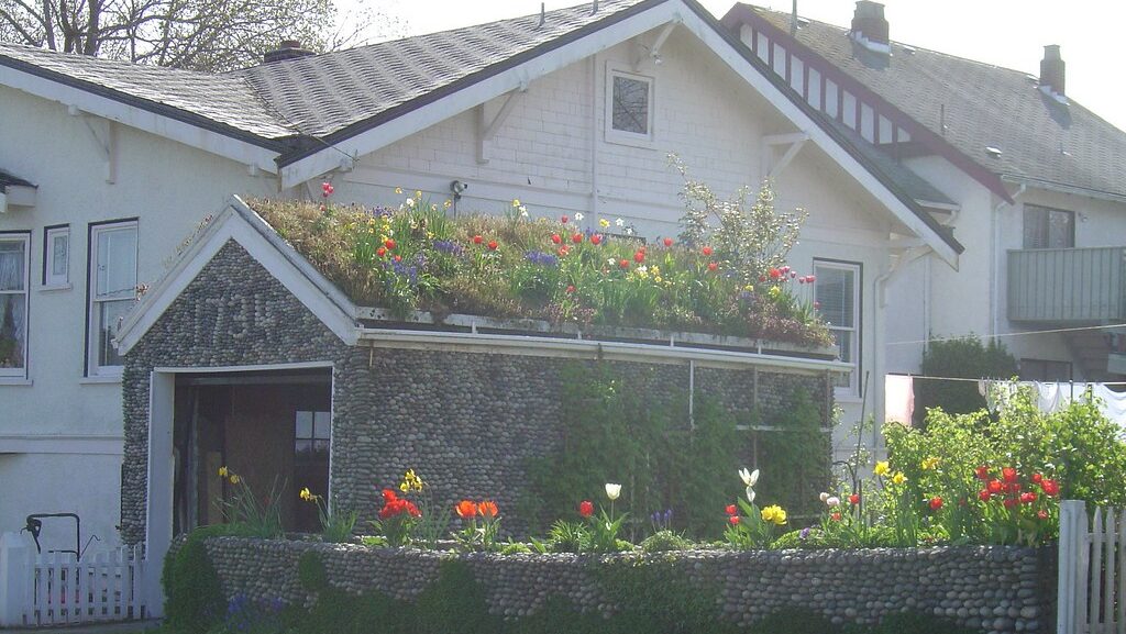 Modern house featuring a green roof on the attached garage