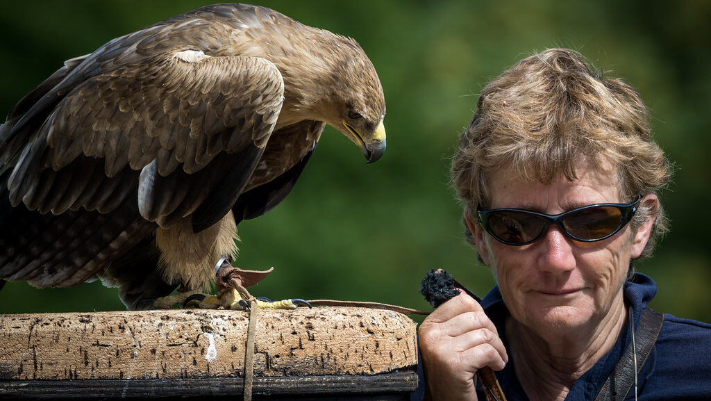 Reporter holding microphone toward eagle