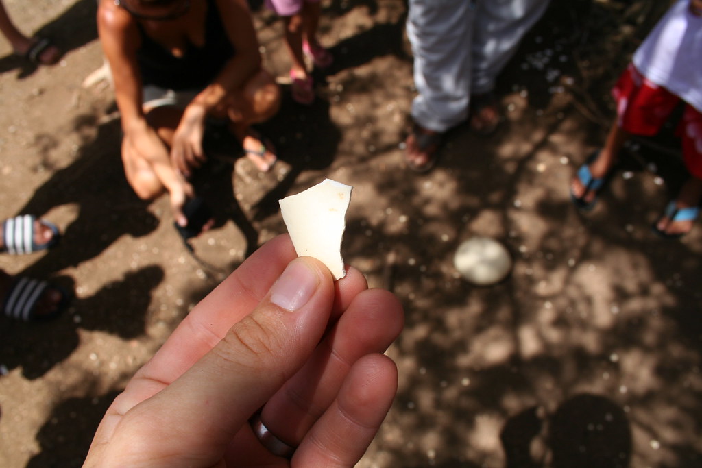 A hand holds a broken piece of an ostrich eggshell, with blurred ground in the background.