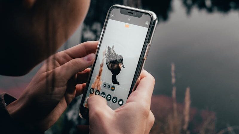 Person using smartphone to photograph a duck in a pond