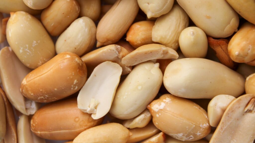 Close-up of unshelled peanuts