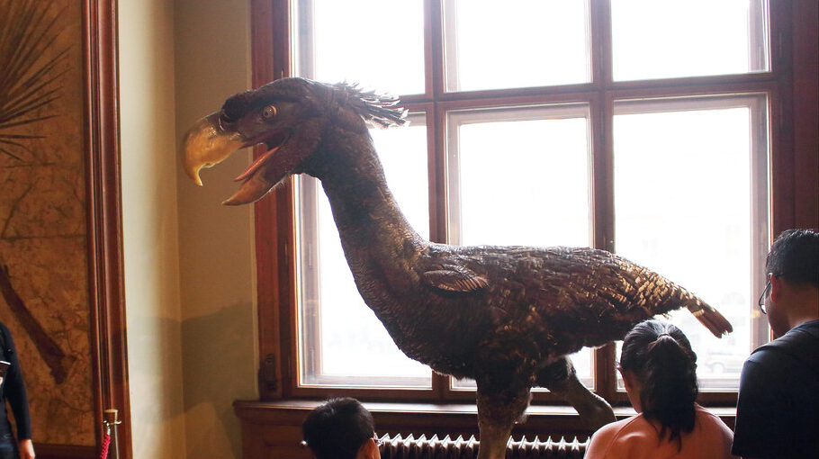A museum exhibit features a large, feathered replica of a Terror Bird, with an open beak, observing visitors.