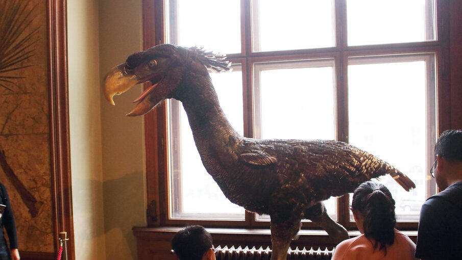 A museum exhibit features a large, feathered replica of a Terror Bird, with an open beak, observing visitors.