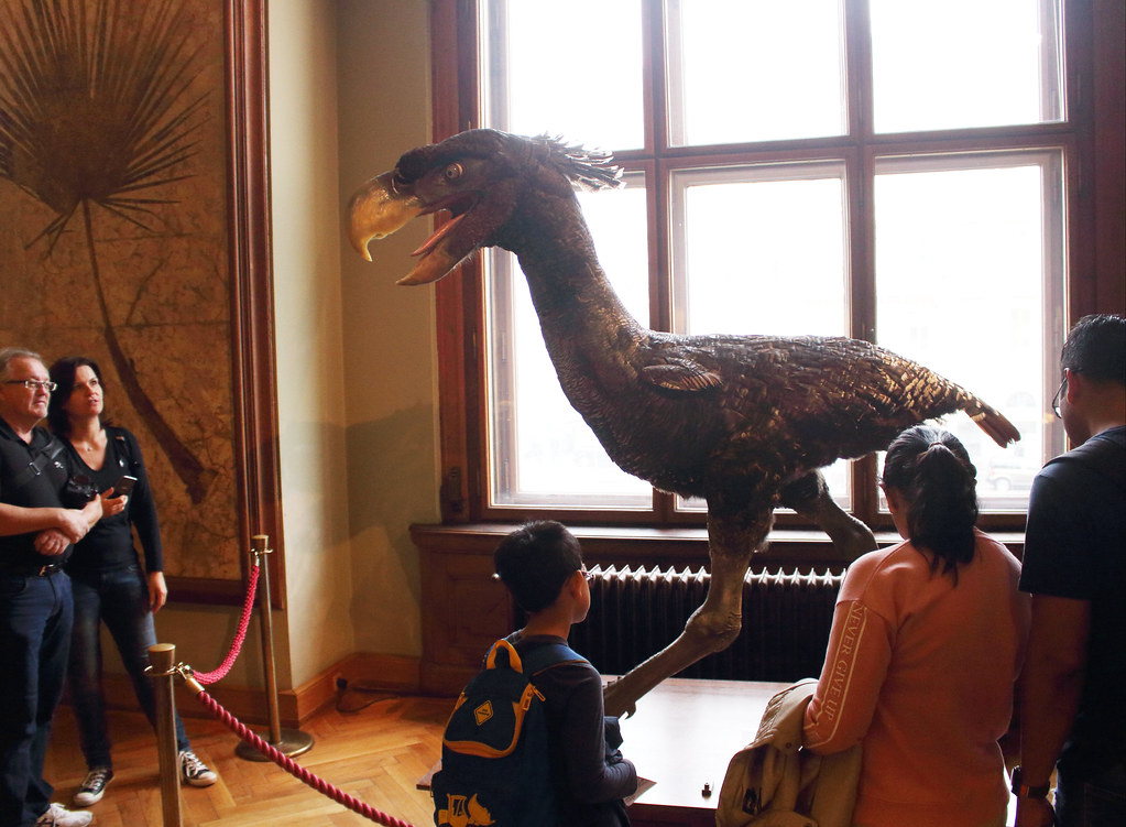 A museum exhibit features a large, feathered replica of a Terror Bird, with an open beak, observing visitors.