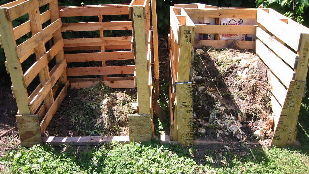 Two wooden compost crates side by side in a backyard garden