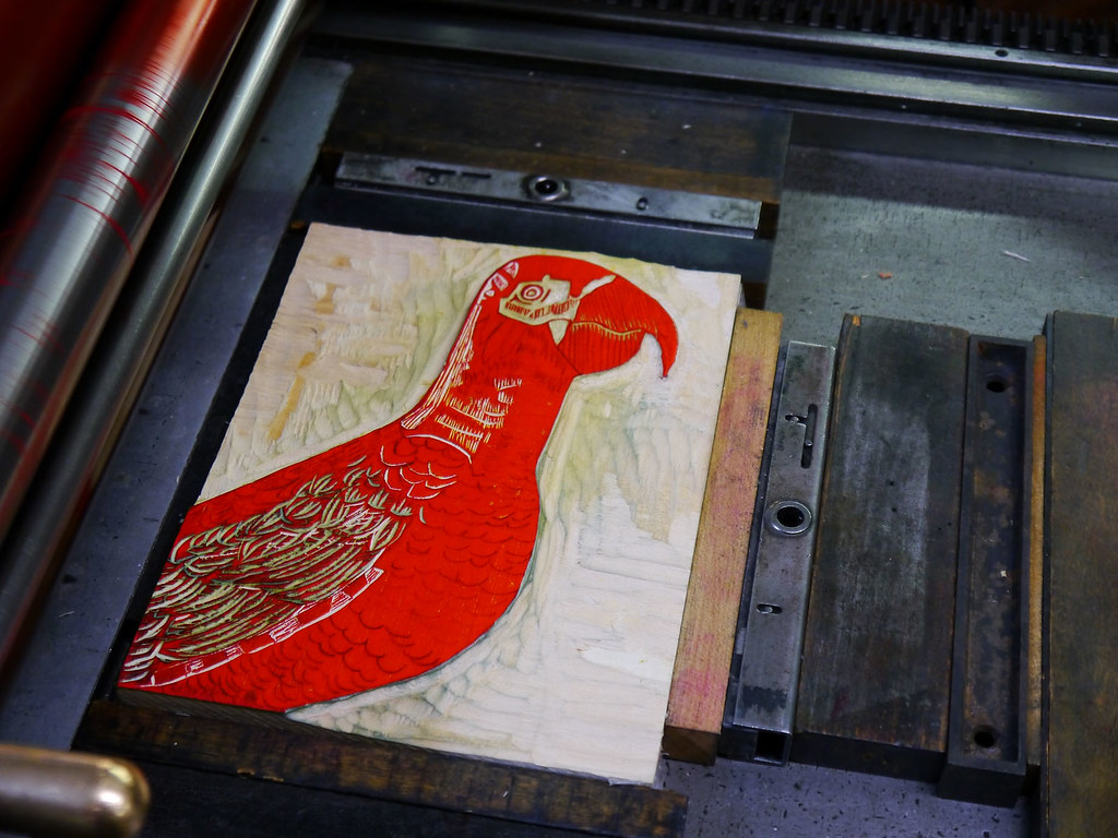 A wooden printing block features a vibrant red Cuban Red Macaw design with intricate details.