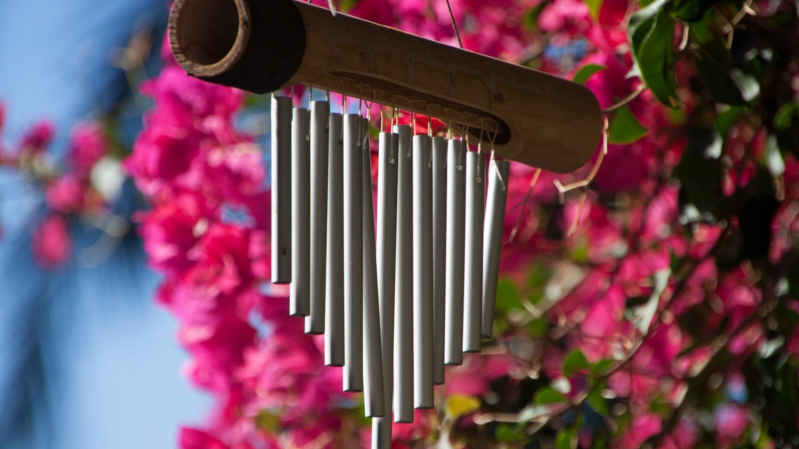Metal wind chime hanging from a tree branch in a peaceful backyard