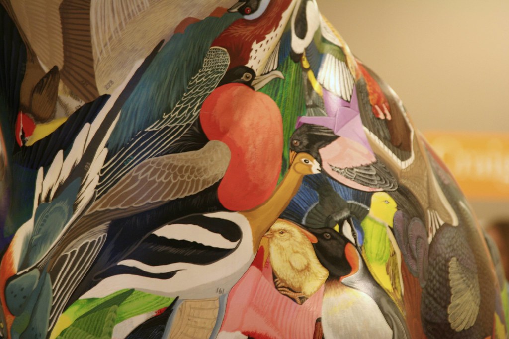 A vibrant artwork depicts various birds, including a frigatebird, a black-necked stilt, and a yellow parrot.