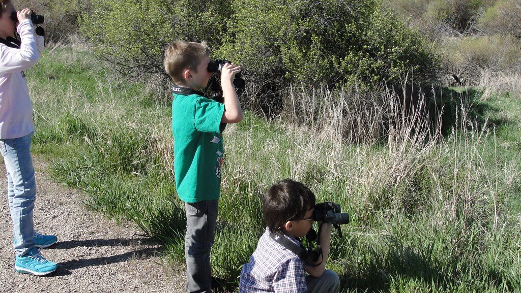 Group of boys and girls birdwatching outdoors using binoculars